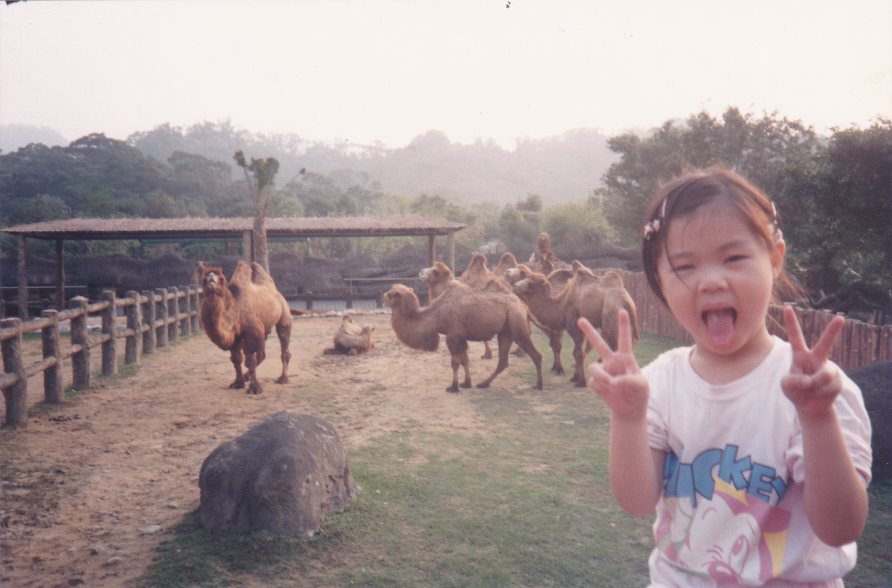 childhood picture of Tzu-Yen. She is making peace signs with her hands and making a funny face. In the background there are camels. 